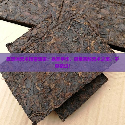 陈忠洲艺术馆普洱茶