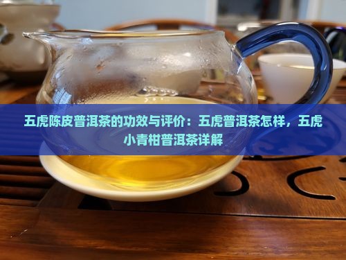 五虎陈皮普洱茶