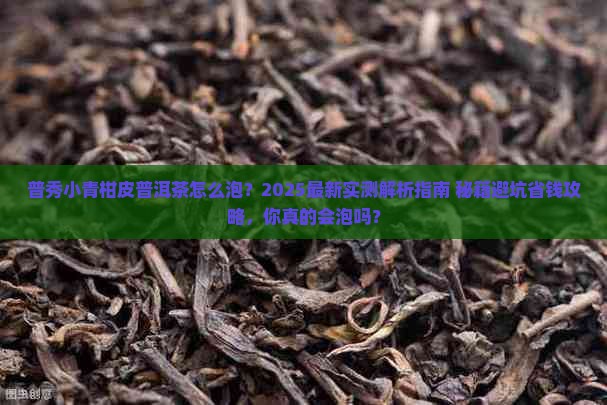 普秀小青柑皮普洱茶怎么泡