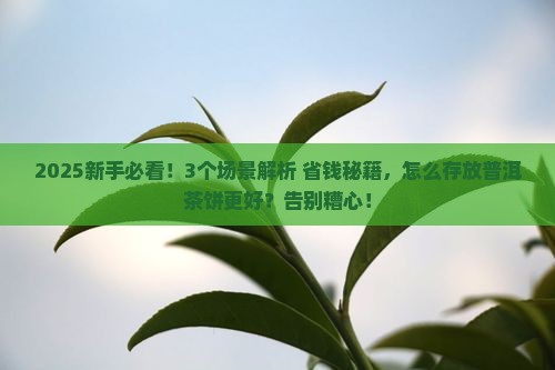 怎么存放普洱茶饼更好