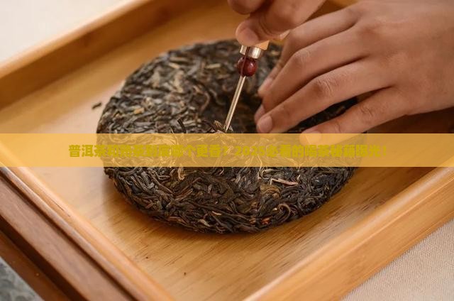 普洱茶和熟茶哪个更好