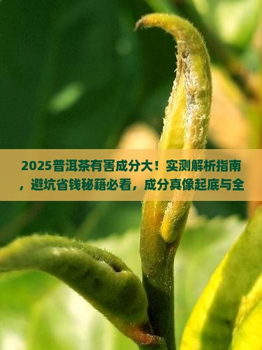 普洱茶的有害成分是多少