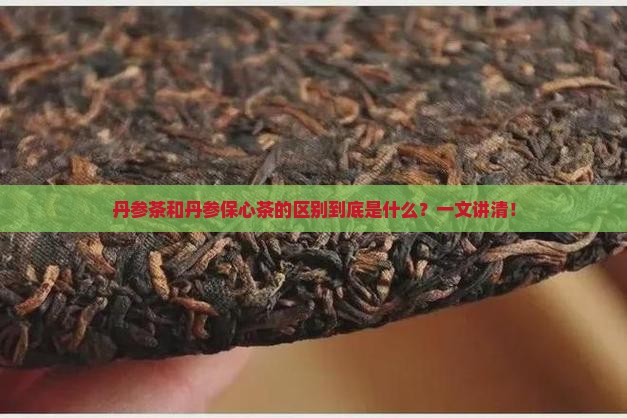 丹参茶和丹参保心茶的区别