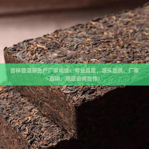 吉林普洱茶生产厂家电话