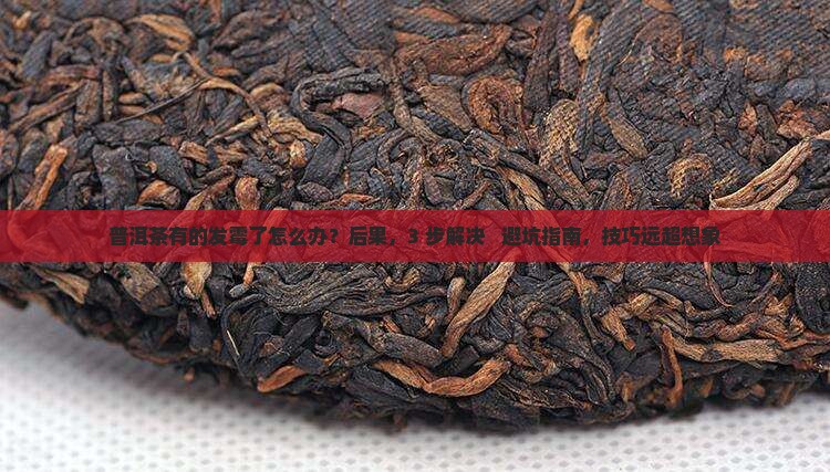 普洱茶有的发霉了怎么办