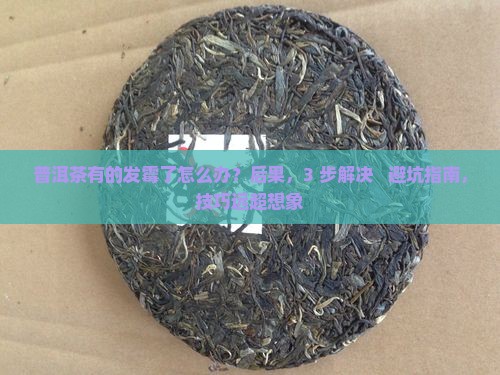 普洱茶有的发霉了怎么办
