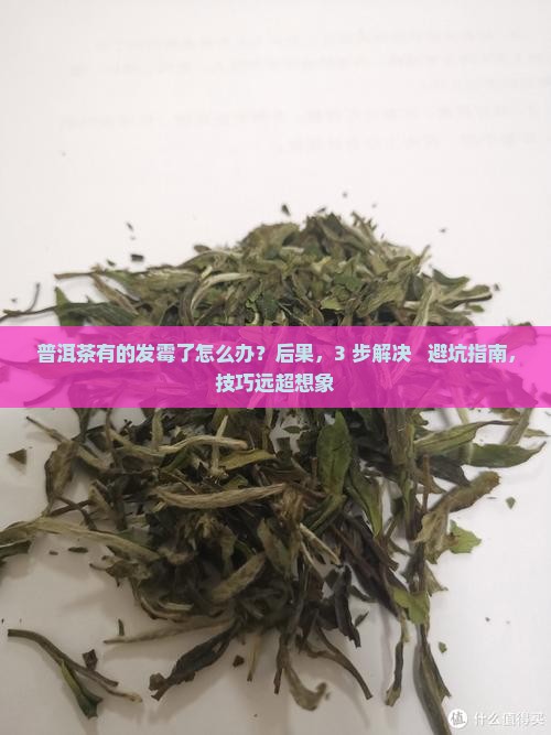 普洱茶有的发霉了怎么办