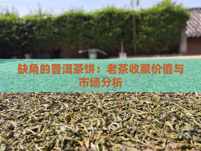 缺角的普洱茶饼