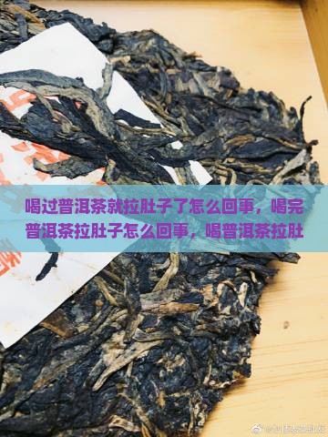 喝过普洱茶就拉肚子了怎么回事