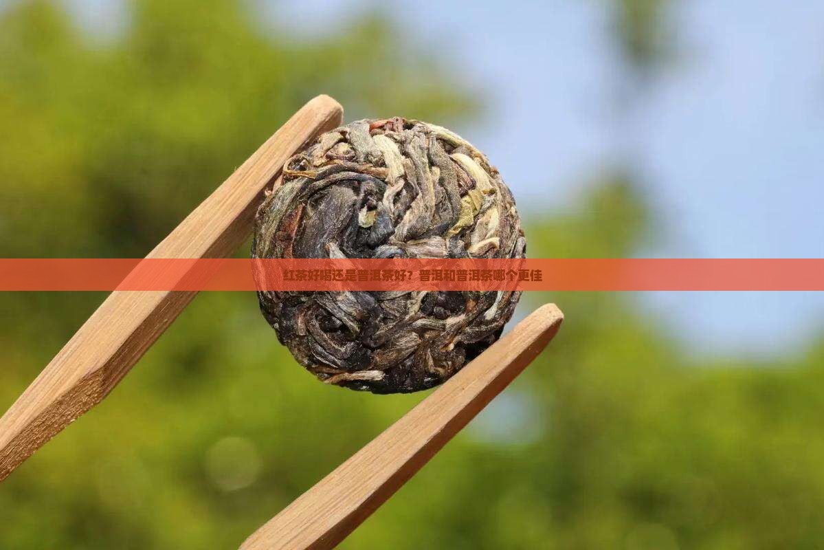 云南红茶好喝还是普洱茶好