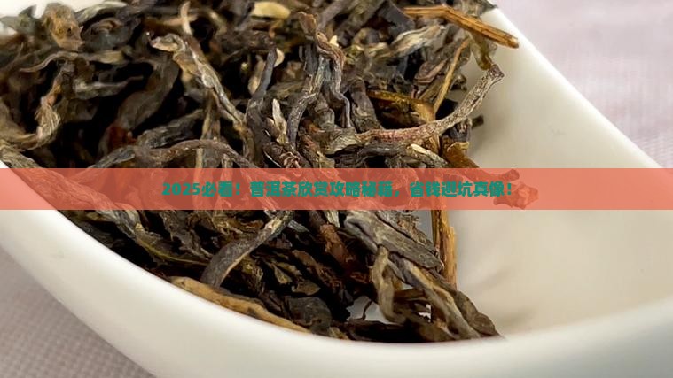 怎么欣赏普洱茶