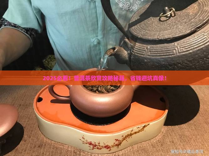 怎么欣赏普洱茶
