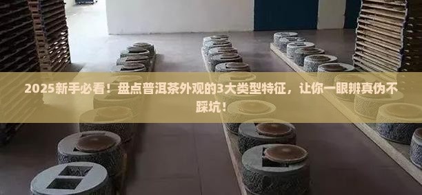 普洱茶的外观类型特征是什么