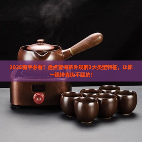 普洱茶的外观类型特征是什么