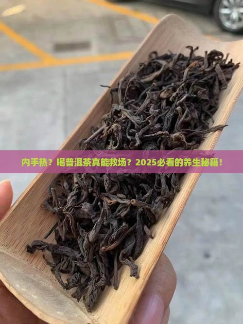 内手热的人可以普洱茶