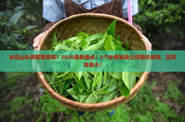 冰岛山头茶哪里好喝