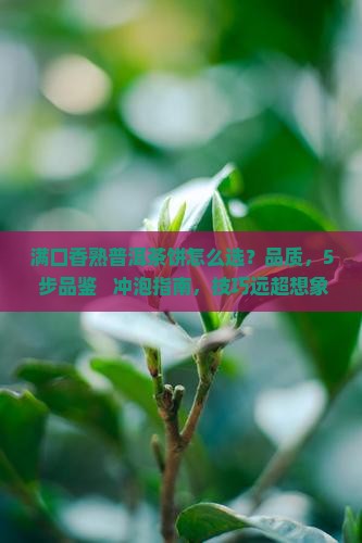 满口香熟普洱茶饼