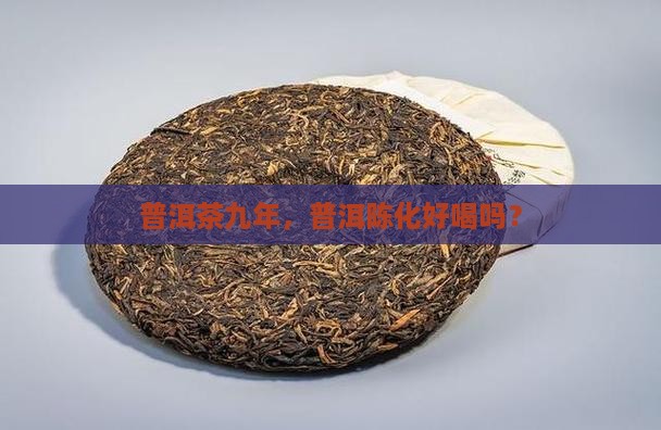 普洱茶九年的好喝吗