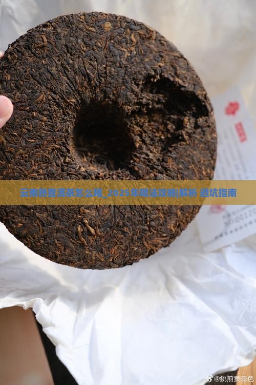 云南熟普洱茶怎么喝