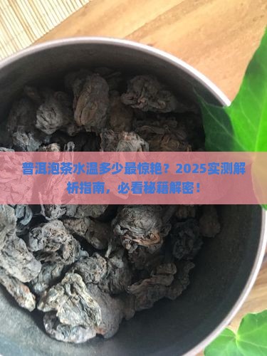 普洱泡茶水温多少合适