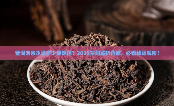 普洱泡茶水温多少合适