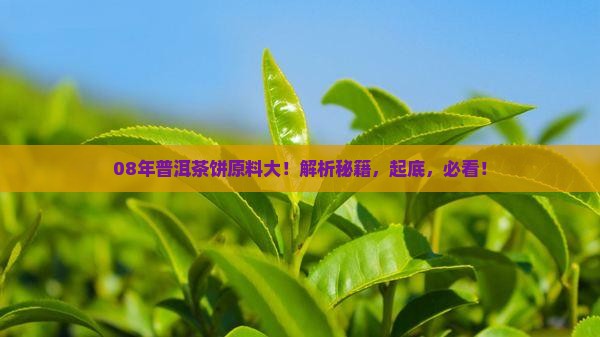 普洱茶饼08年原料
