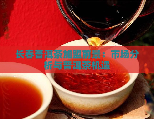 长春普洱茶加盟前景