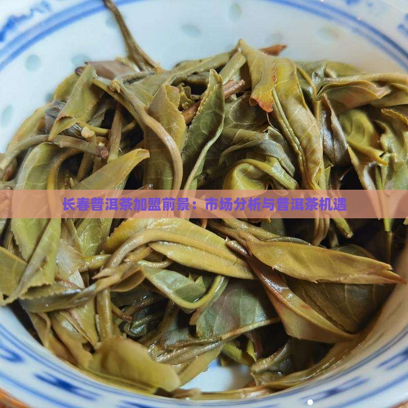 长春普洱茶加盟前景