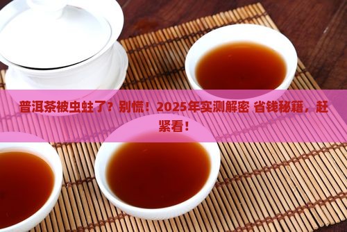 普洱茶有虫怎么治理好