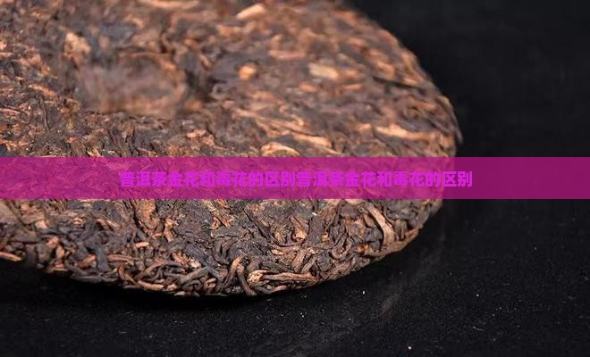 普洱茶金花和毒花的区别