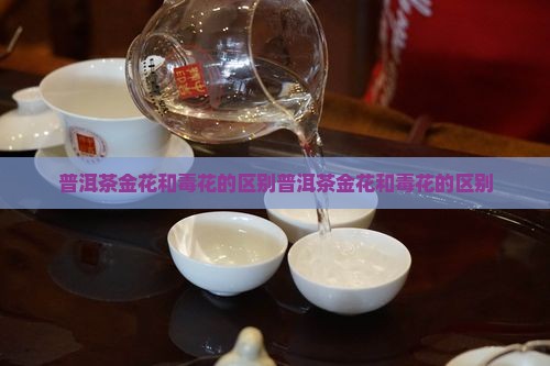 普洱茶金花和毒花的区别