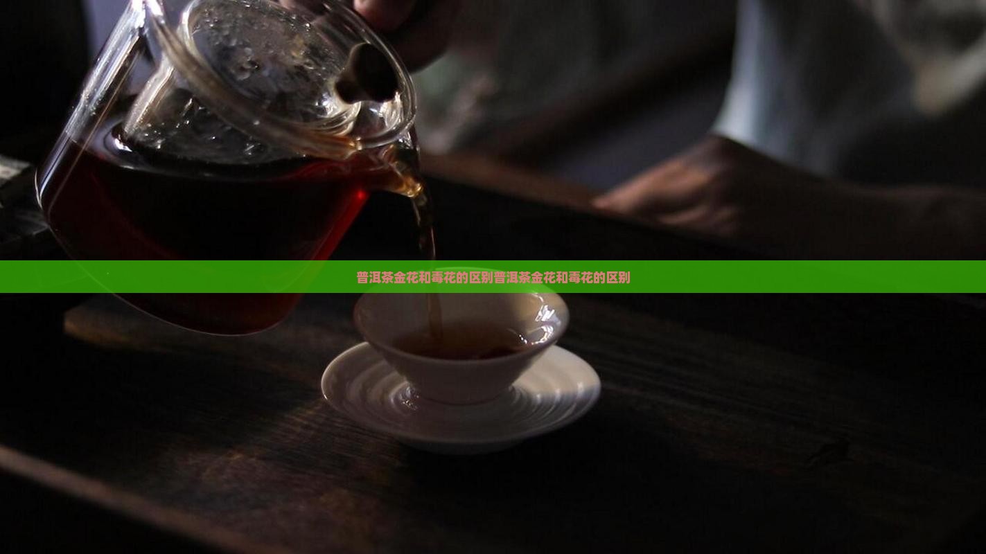 普洱茶金花和毒花的区别