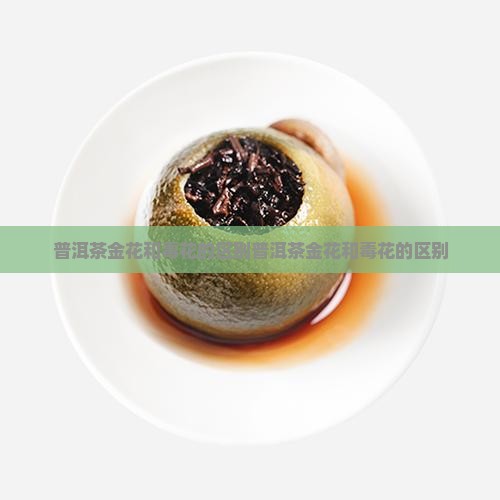 普洱茶金花和毒花的区别