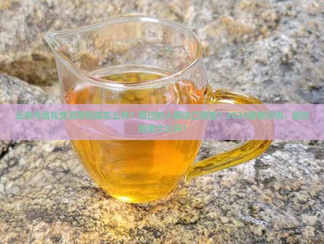 云泰号曼松普洱茶怎么样