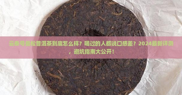云泰号曼松普洱茶怎么样
