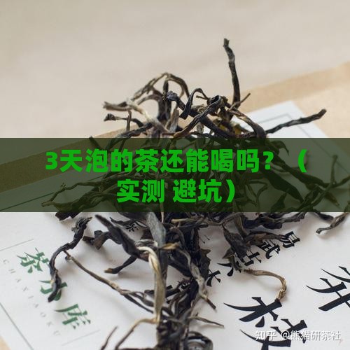 泡的茶放久了还能喝吗