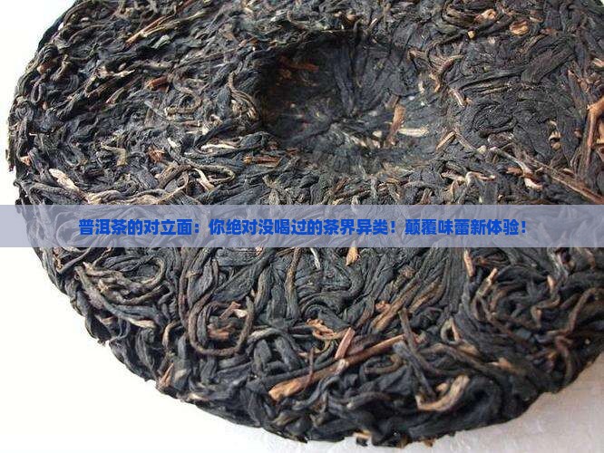 普洱茶的对立面