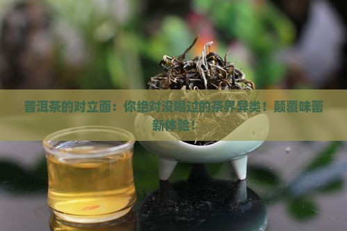 普洱茶的对立面