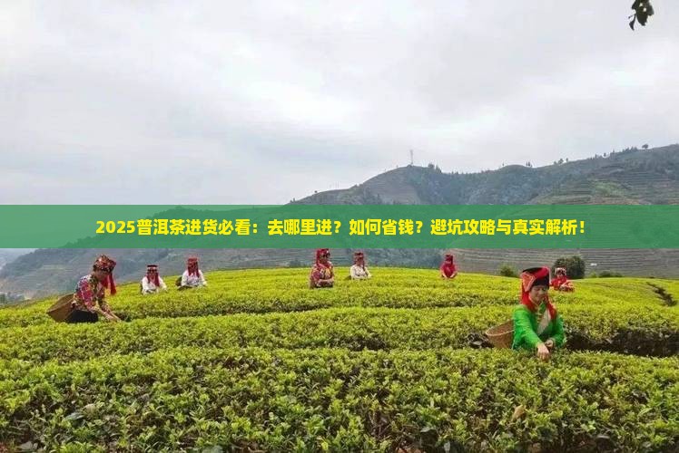普洱茶进货要去哪里进