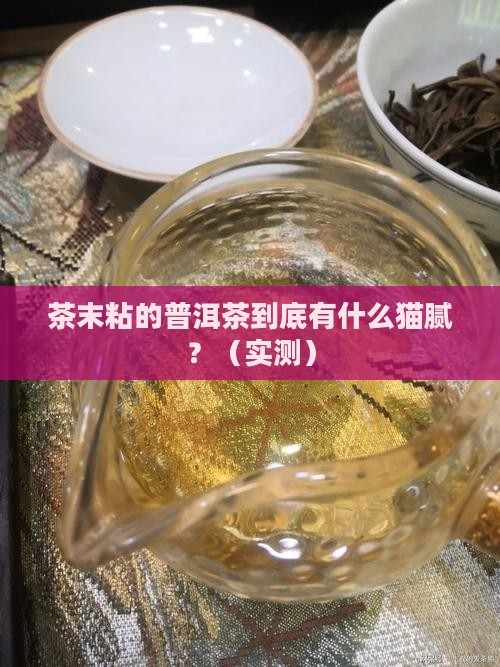 茶末粘的普洱茶有哪些特点