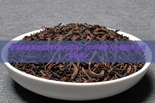 普洱茶多少度的开水泡比较好
