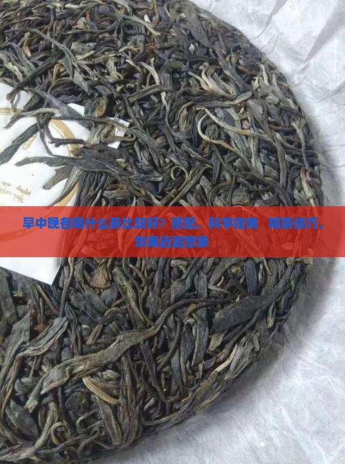 早中晚各喝什么茶比较好