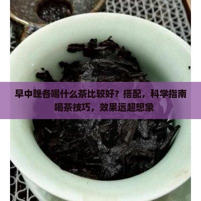 早中晚各喝什么茶比较好