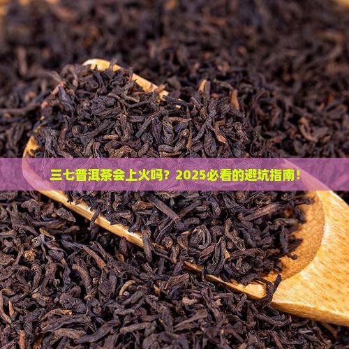 三七普洱茶上火吗