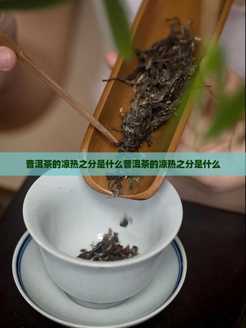 普洱茶的凉热之分是什么