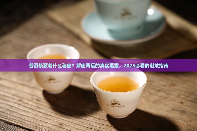 普洱茶编号寓意