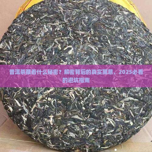 普洱茶编号寓意