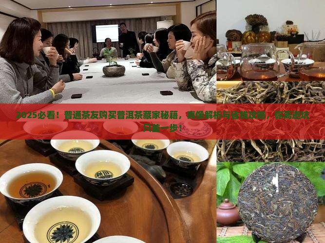 普洱茶真能购买藏吗吗