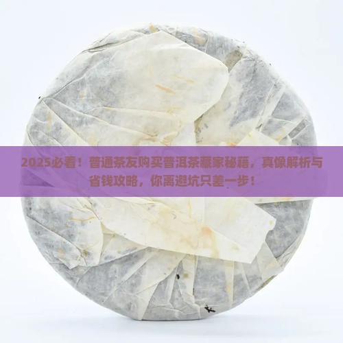 普洱茶真能购买藏吗吗