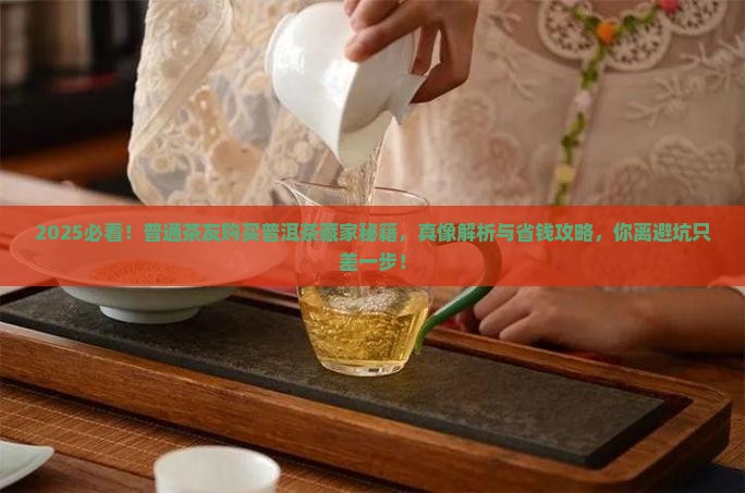 普洱茶真能购买藏吗吗